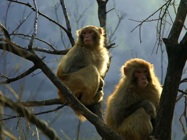 DB真人旗舰·(中国)集团