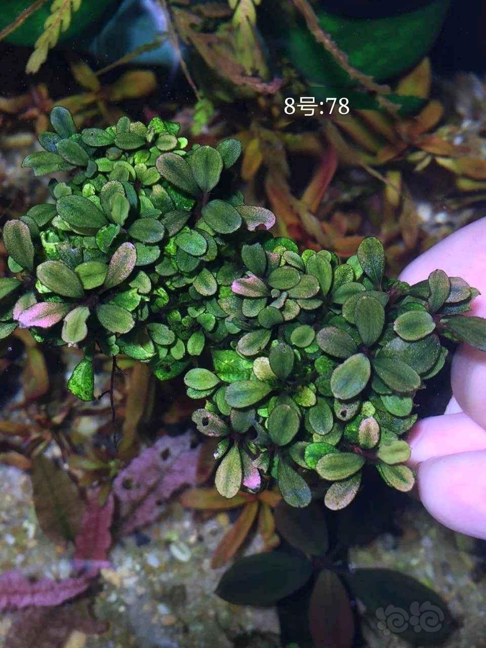 DB真人旗舰·(中国)集团