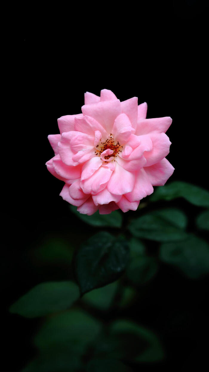 DB真人旗舰·(中国集团)