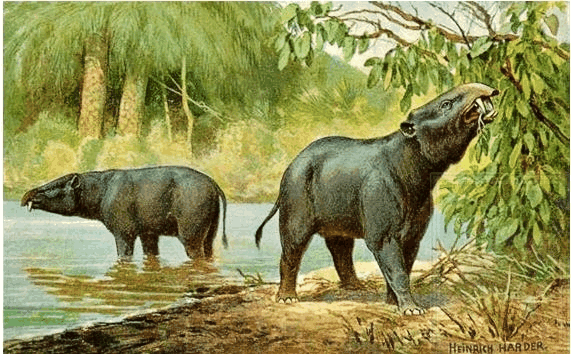 府东社区举办门球邀请赛:DB真人旗舰·(中国)集团(图1) 中国·DB真人旗舰(集团)