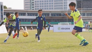 “DB真人旗舰·(中国集团)”新区拆除违建不手软 新河街去年拆违超5万平(图1) DB真人旗舰·(中国集团)