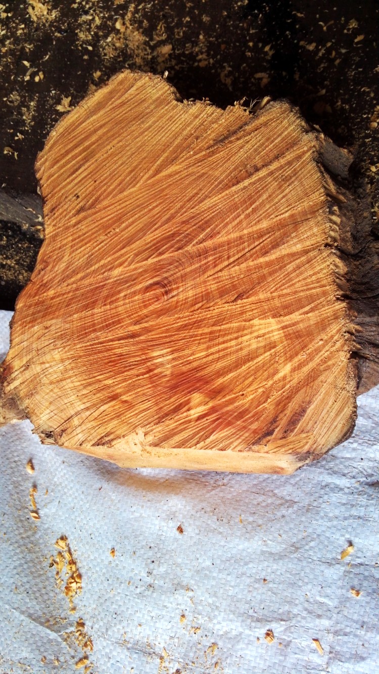 DB真人旗舰官网