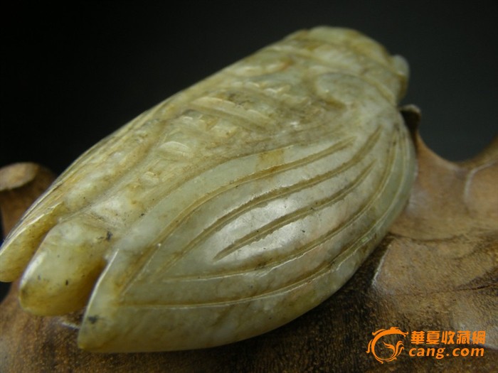 DB真人旗舰官网