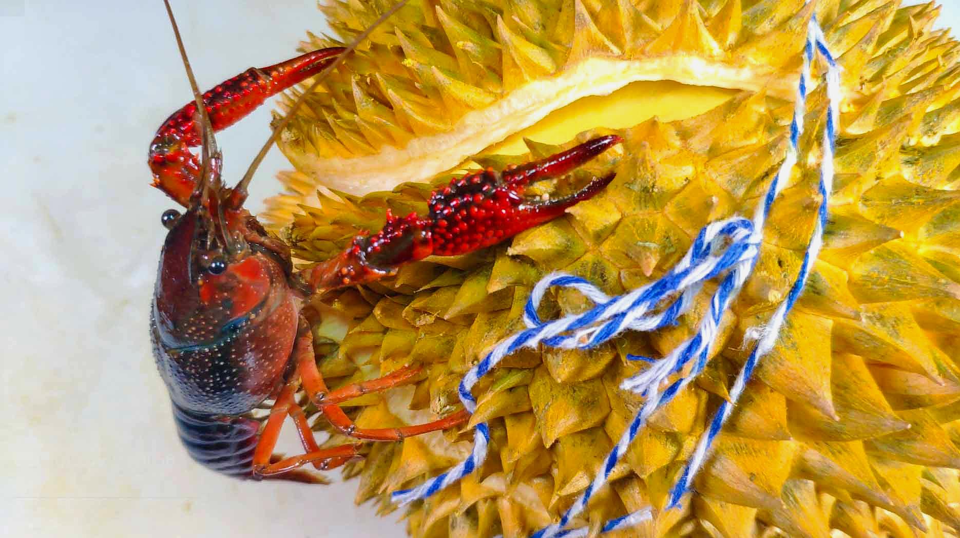 DB真人旗舰·(中国集团):2020年展望:思考区块链和加密货币(图1) 中国·DB真人旗舰(集团)