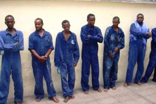 日本研究人员成功用基因编辑技术治疗实验鼠血友病:DB真人旗舰官网(图3) DB真人旗舰·(中国集团)