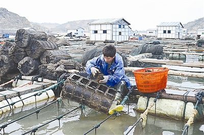 DB真人旗舰·(中国集团)