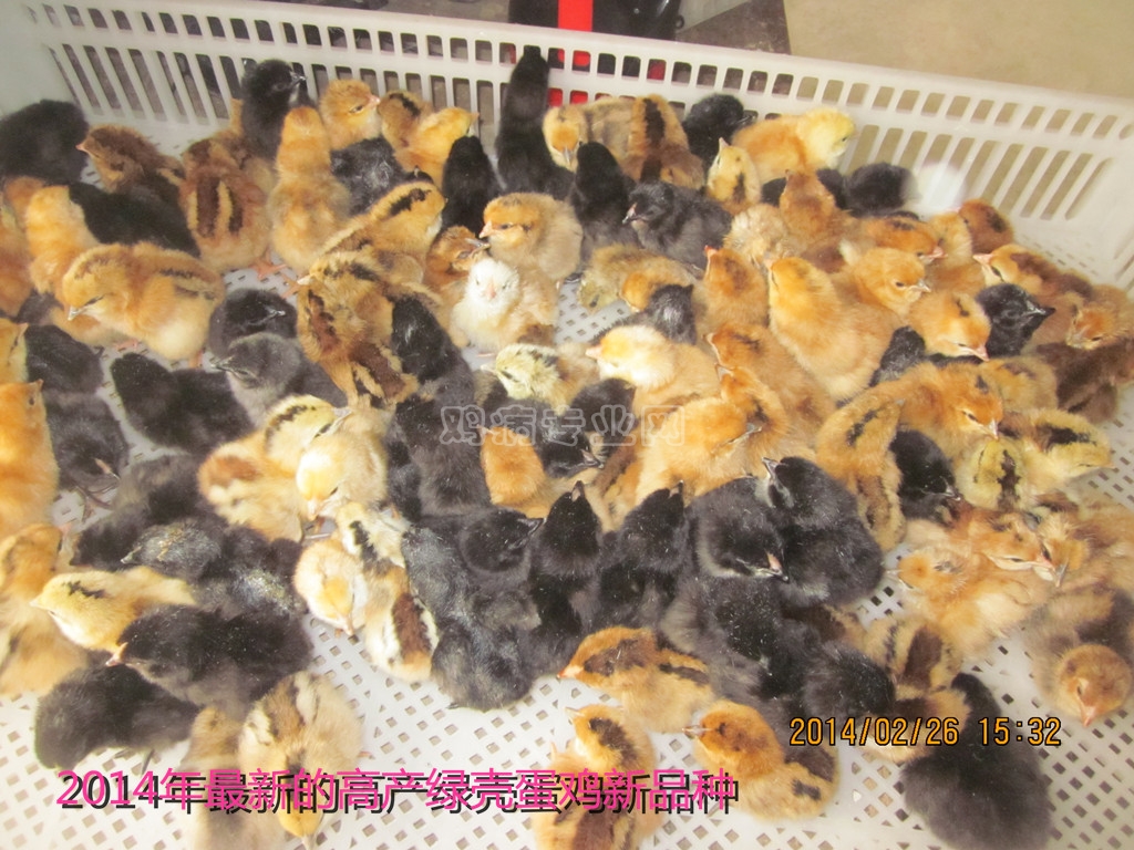 市运管处:入企帮扶 有效化解我市出租汽车车辆“季检”难题“DB真人旗舰·(中国集团)”(图3) DB真人旗舰·(中国集团)