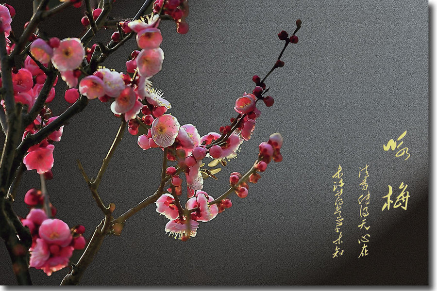 DB真人旗舰·(中国集团)