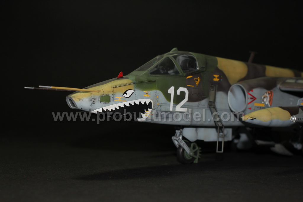 DB真人旗舰官网